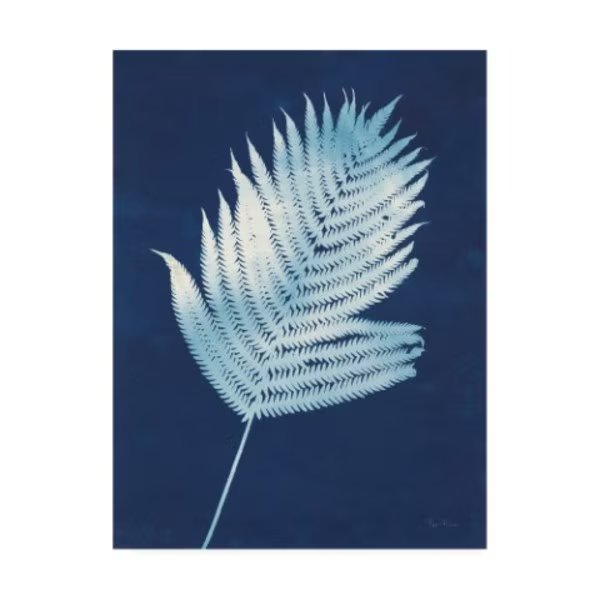 Piper Rhue 'Nature By The Lake - Ferns III' Canvas Art, 18x24, Trademark Fine Art, Mfr#: WAP12146-C1824GG